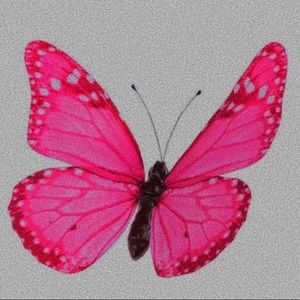 Meet your Posher, Kiara